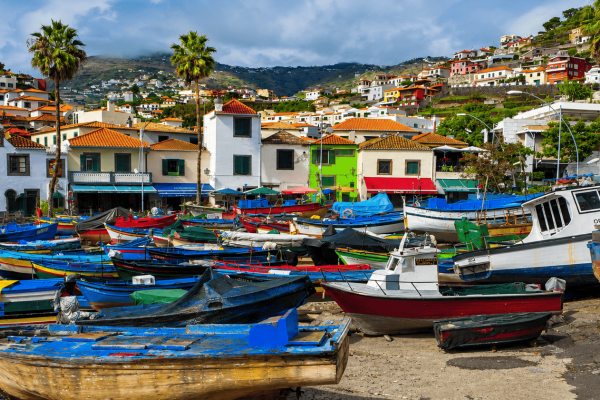 Ponta do Pargo Private Tour