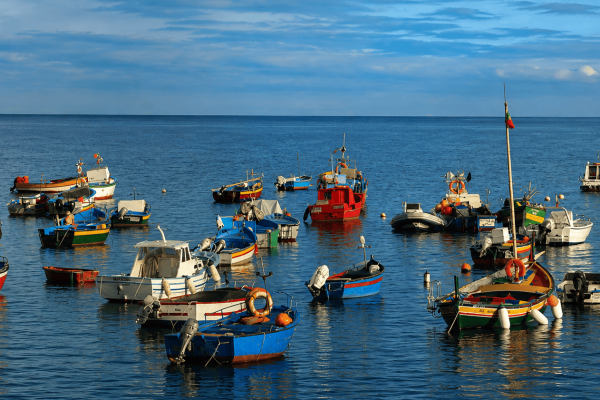 Ponta do Pargo Private Tour