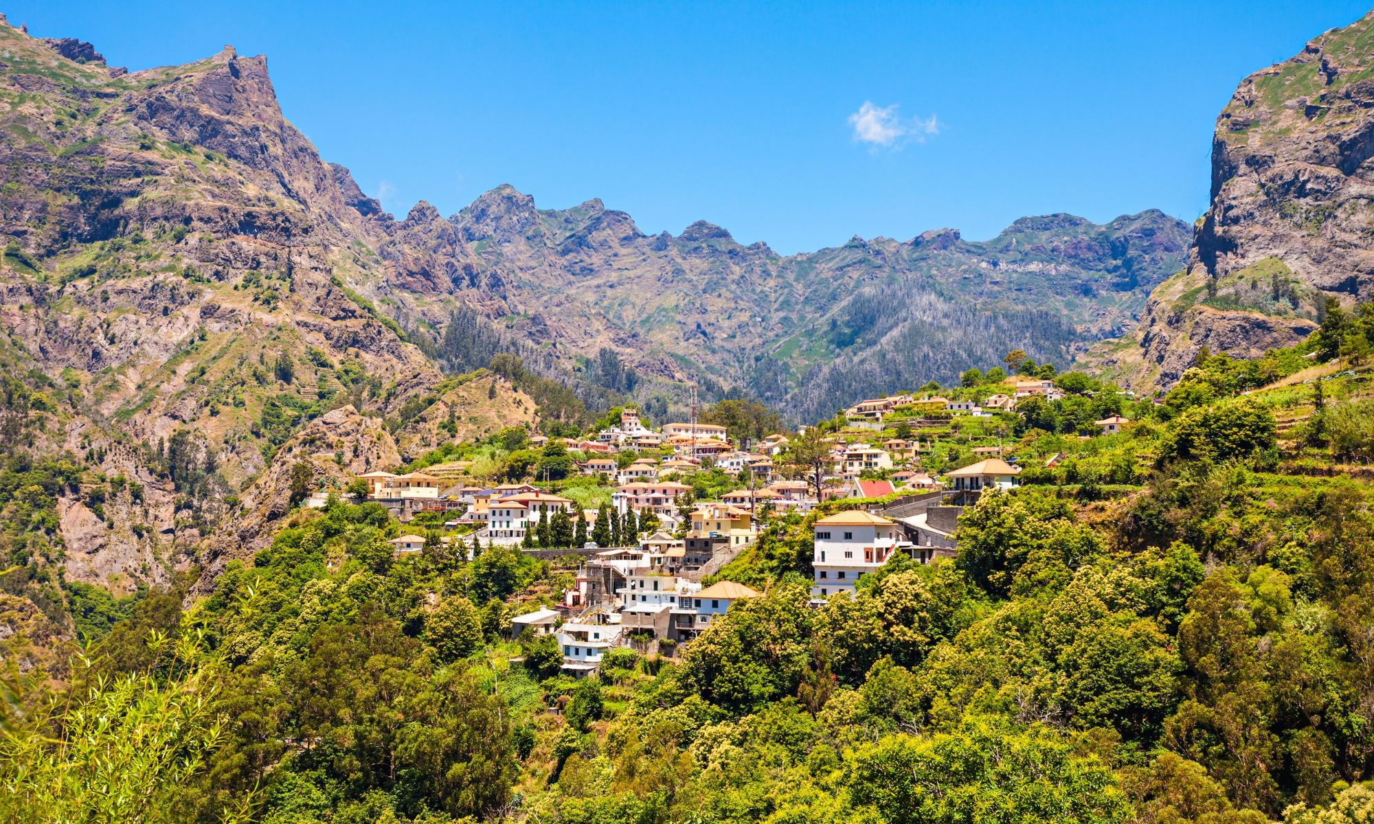 Madeira Ever Green Travel