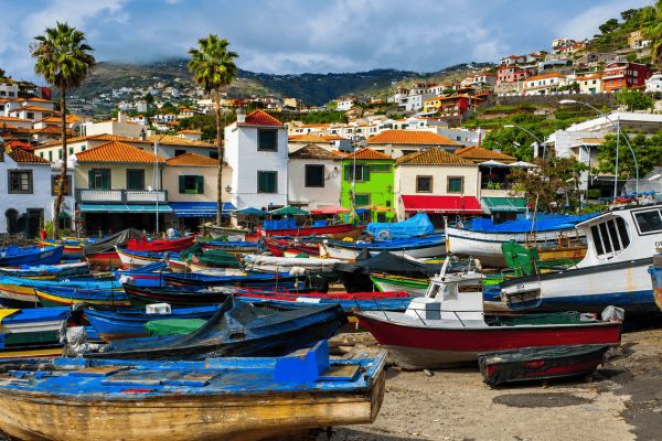 Ponta do Pargo Private Tour