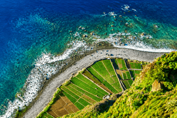 Ponta do Pargo Private Tour